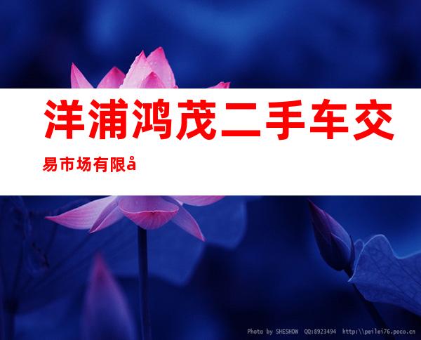 洋浦鸿茂二手车交易市场有限公司