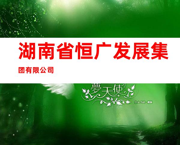 湖南省恒广发展集团有限公司
