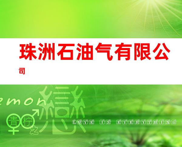 珠洲石油气有限公司